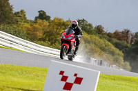 PJ-Motorsport-Photography-2020;anglesey;brands-hatch;cadwell-park;croft;donington-park;enduro-digital-images;event-digital-images;eventdigitalimages;mallory;no-limits;oulton-park;peter-wileman-photography;racing-digital-images;silverstone;snetterton;trackday-digital-images;trackday-photos;vmcc-banbury-run;welsh-2-day-enduro